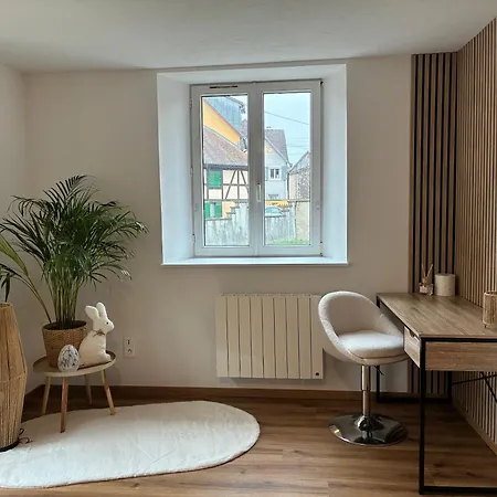 Le Cocon Du Bord De L'Ill Apartment Illhaeusern Exterior photo